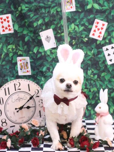 20250406モナちゃん